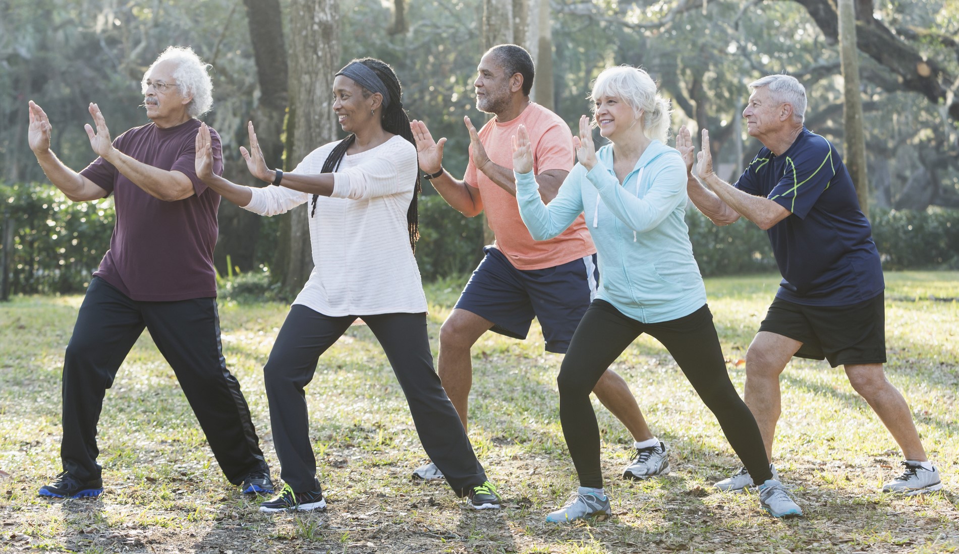 A serene scene unfolds as elderly individuals gracefully practice tai chi amidst nature's embrace in a park.