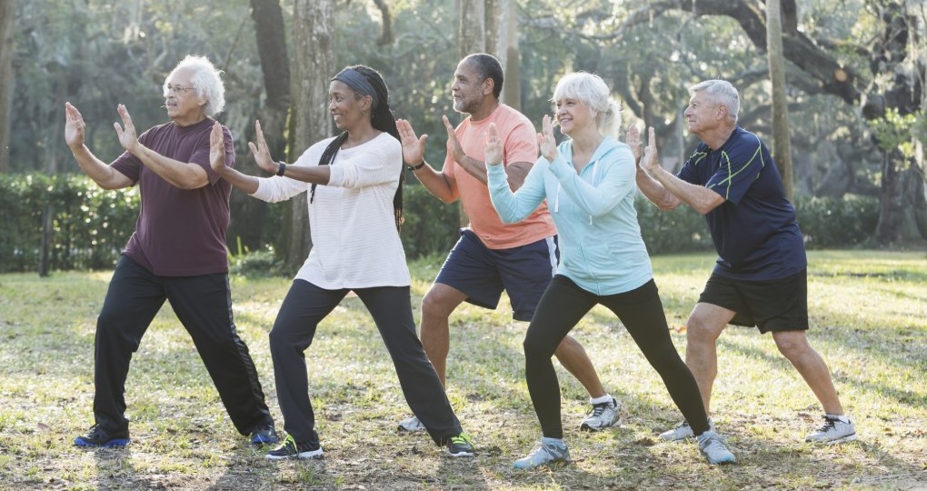A group of older adults engaged in tai chi exercises in a peaceful park, enhancing their physical and mental well-being.